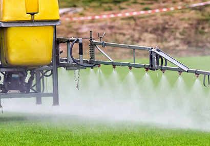 PLANT PROTECTION AND CARE